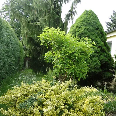 Sommerhaus Im Gruenen Feriehus