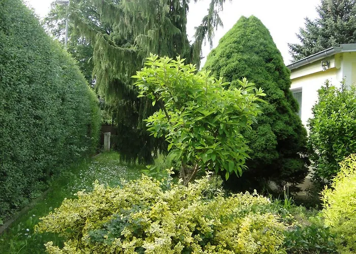 Sommerhaus Im Gruenen Vakantiehuis