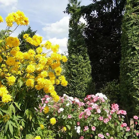 Sommerhaus Im Gruenen * ברלין